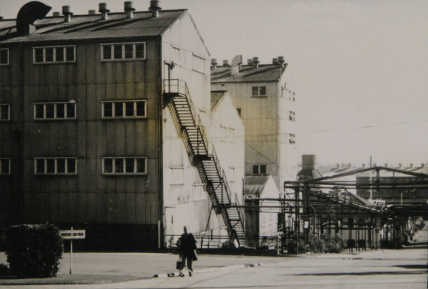 An honest day's work. Union Carbide HQ, Rhodes, 1970. Image courtesy City of Canada Bay.