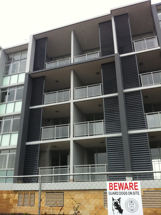 No pets allowed, except those ones.