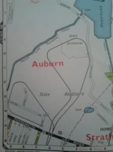 Saturday night grand prix circuit. Thanks, reader Kenny!