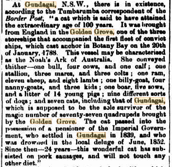 Screen Shot 2018-07-31 at 4.48.17 pm